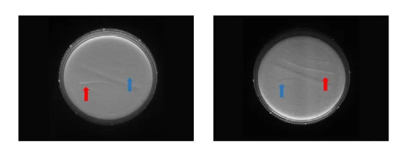 分時(shí)頻閃相機(jī).png 分時(shí)頻閃相機(jī).png