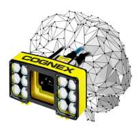 康耐視視覺(jué)AI技術(shù)實(shí)現(xiàn)更精準(zhǔn)的包裹分揀