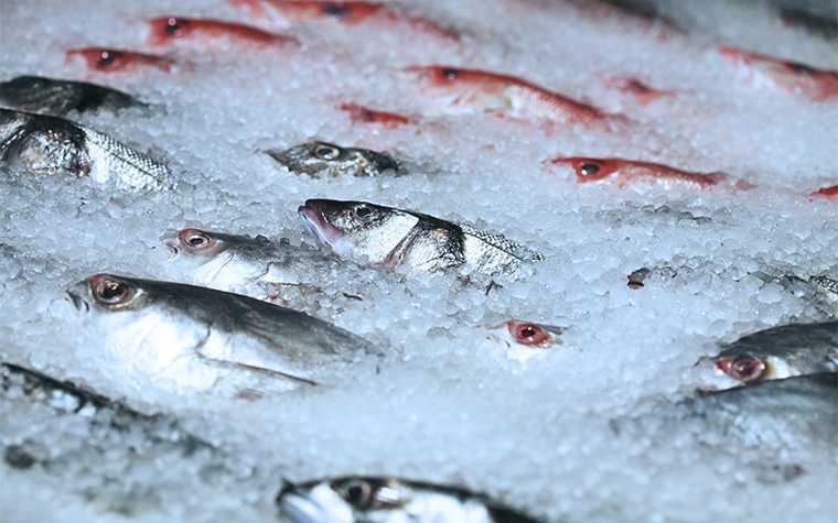 H947手持終端助力生鮮冷鏈管理 H947手持終端助力生鮮冷鏈管理